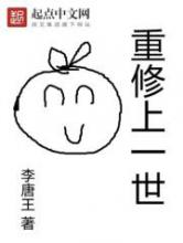 重修上一世小说