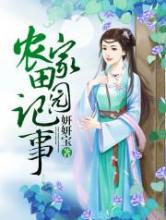 农家田园记事小说