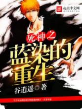 死神之蓝染的重生小说