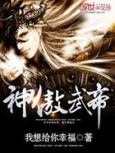 神傲武帝小说
