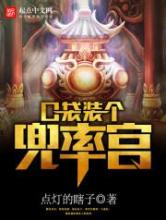 口袋装个兜率宫小说