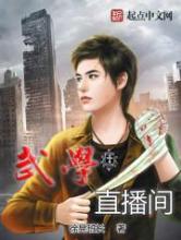 武学直播间小说