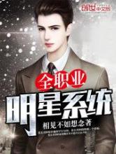 全职业明星系统小说