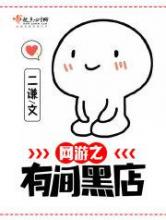 网游之有间黑店小说