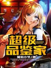 超级品鉴家小说