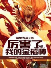 厉害了我的金箍棒小说