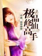 极品修仙高手(书坊)小说