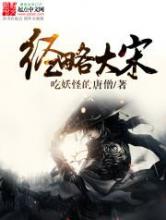 经略大宋小说