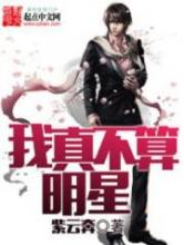 我真不算明星小说