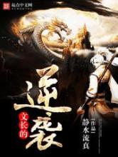 文长的逆袭小说