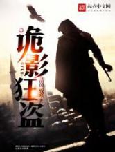 诡影狂盗小说