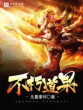 不朽道果小说
