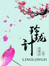 玲珑计小说