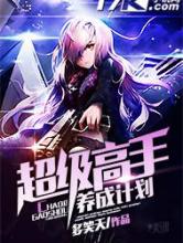 超级高手养成计划小说
