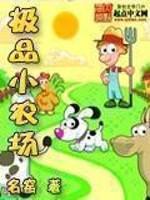 极品小农场小说