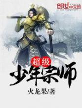 超级少年宗师小说