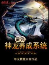 最强神龙养成系统小说