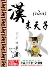 汉末天子小说