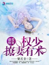 盛爱绝宠：权少撩妻有术小说