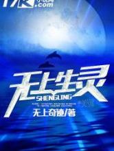 无上生灵小说