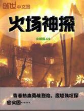 火场神探小说