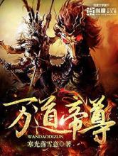 万道帝尊小说