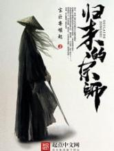 归来的宗师小说