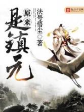 原来是镇元小说