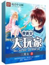 我就是大玩家小说