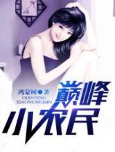 巅峰小农民小说