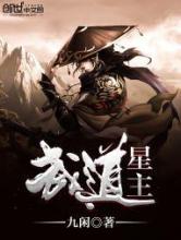 武道星主小说