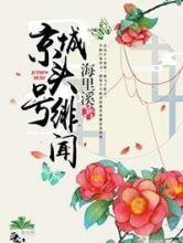 京城头号绯闻小说