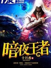 暗夜王者小说