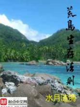 荒岛生存法则小说