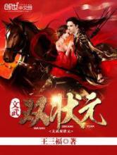 文武双状元小说