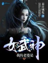 我的老婆是女武神小说