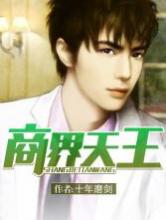 商界天王小说