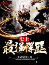 史上最强悍匪小说