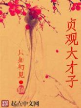 贞观大才子小说