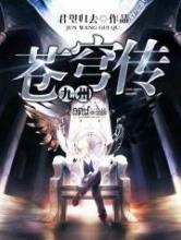 九州苍穹传小说