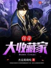传奇大收藏家小说