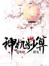 神机妙算（甜宠）小说
