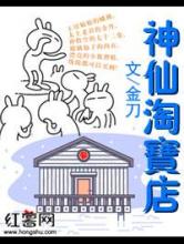 神仙淘宝店小说