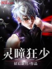 灵瞳狂少小说