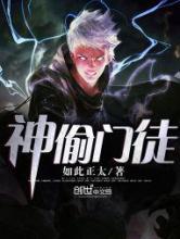 神偷门徒小说