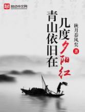 青山依旧在，几度夕阳红小说