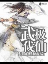 武极伐仙小说