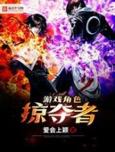 游戏角色掠夺者小说