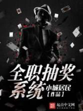 全职抽奖系统小说