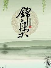 锦枭小说